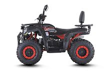 Квадроцикл FXMOTO (ФХмото) WASP 200 чёрный (машинокомплект)