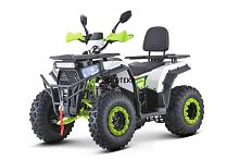 Квадроцикл FXMOTO (ФХмото) WASP 200 белый (машинокомплект)