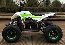Электроквадроцикл подростковый Motax (Мотакс) Gekkon 1300W белый/зелёный (машинокомплект)