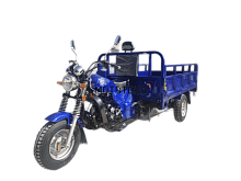 Трицикл грузовой Мотомир AGIAX 1 250 куб. см, ВОЗД.ОХЛ, кузов 2м синий с ПТС