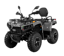 Квадрицикл Bizon (Бизон) YK250 LUX EFI черный с ПТС