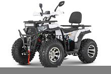 Квадроцикл Yacota (Якота) VIKING 200 PRO белый (машинокомплект)