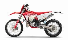 Мотоцикл кроссовый / эндуро GAS GAS (Гас Гас) EC 300