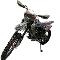 Мотоцикл кроссовый / эндуро FXMOTO(ФХМото) YZ - 300 красный