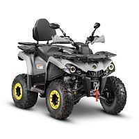 Квадроцикл GLADIATOR (Гладиатор) F200 LONGLUX серый (машинокомплект)